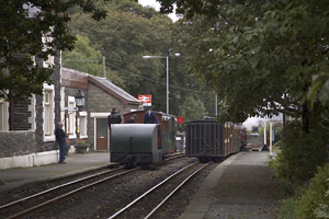 Framed by the ancient oak tree, trains in Minffordd Station.