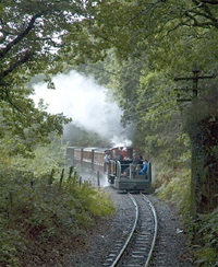 'Double' heading - powerful double Fairlie locomotive and original old FRCo Simplex in the woods below Tan y Bwlch